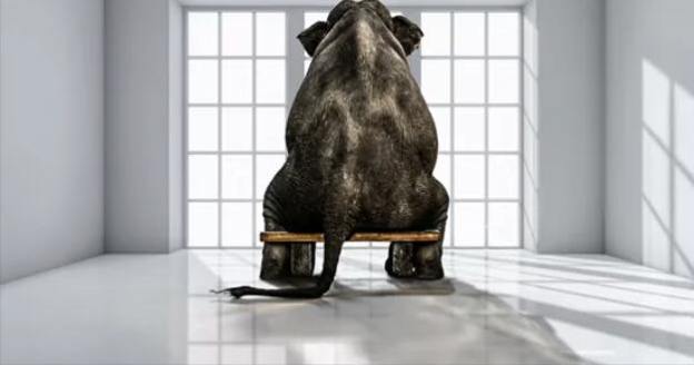 elephant-in-the-room.jpg